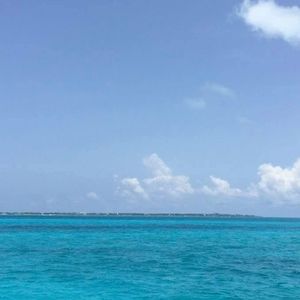 Meet your Posher, Salgado